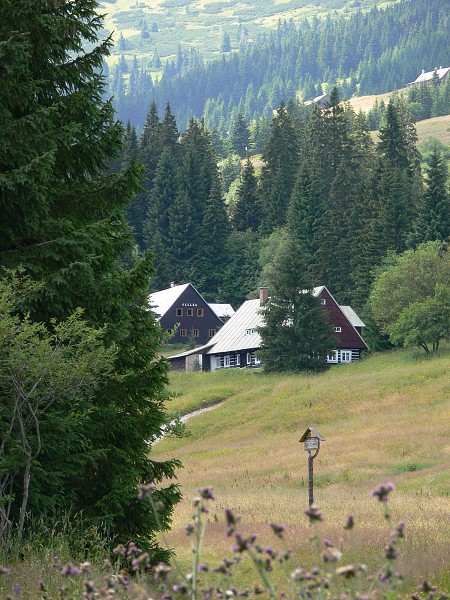 Modré Foto 2006  příroda - 2006